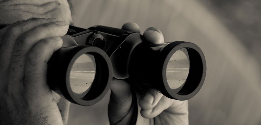 RBC binoculars