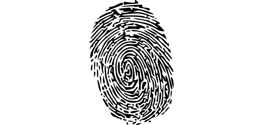 fingerprint