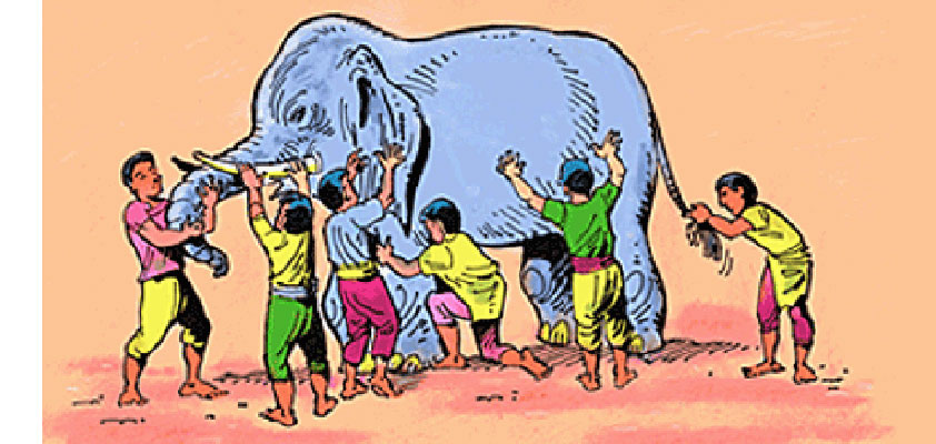 supply chain analysts blind men elephant