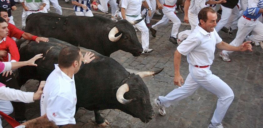 sacconaghi apple bull run