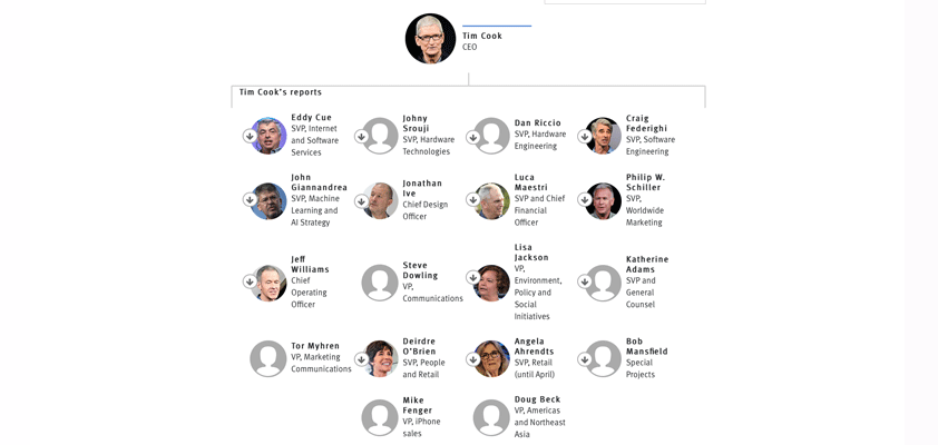 information apple org chart