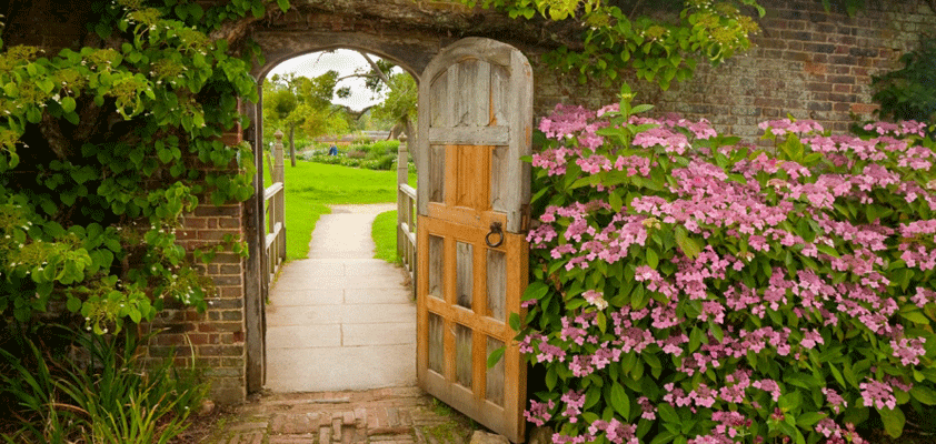 apple walled garden grapeshot