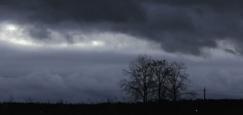 apple wedbush dark cloud