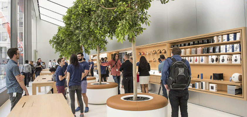 Apple experience fresh eyes