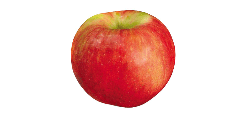 apple premarket green red 10-21