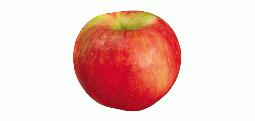apple premarket red 4-25-24