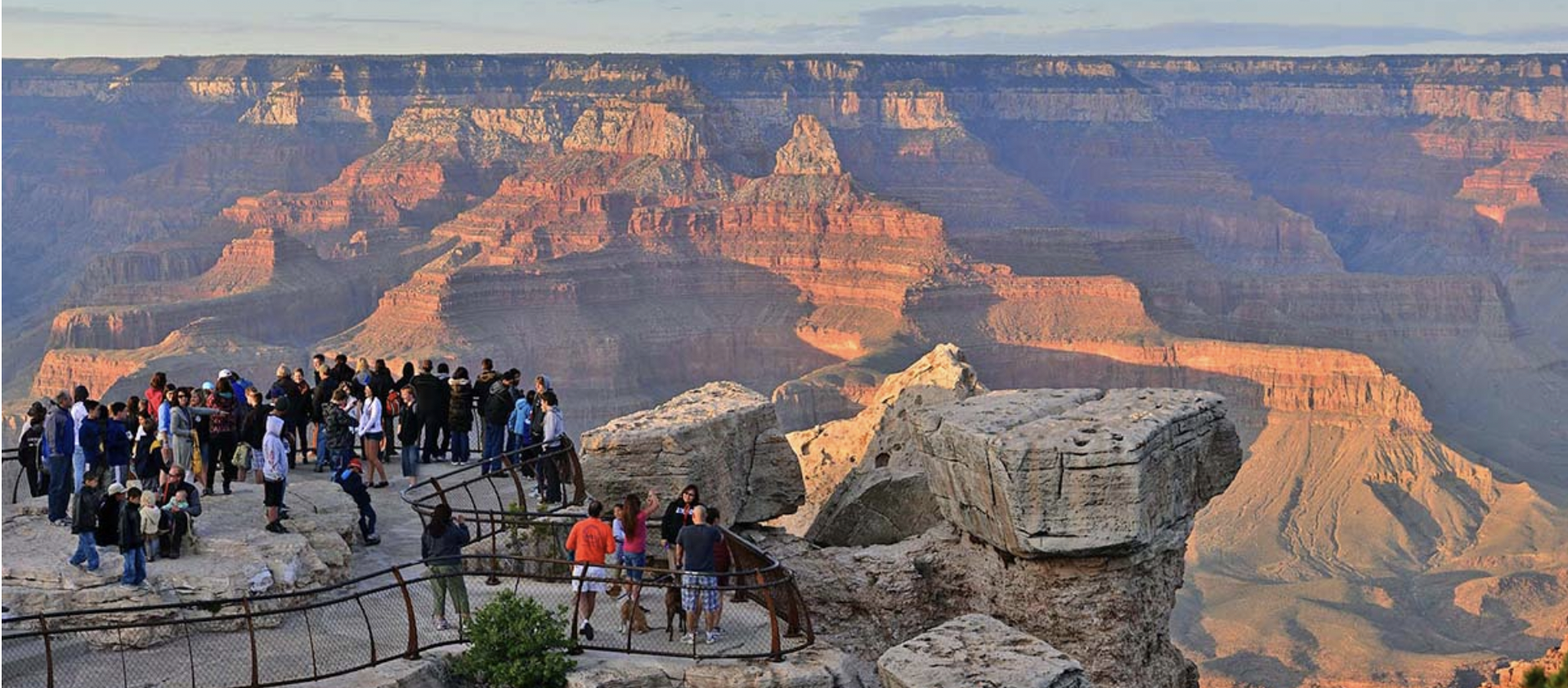 grand canyon apple