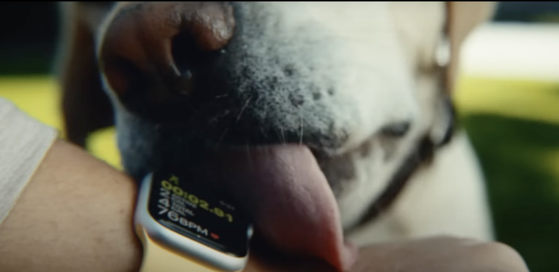 apple watch takes licking