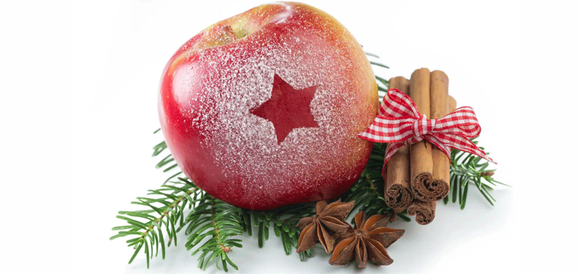 apple holder christmas gift