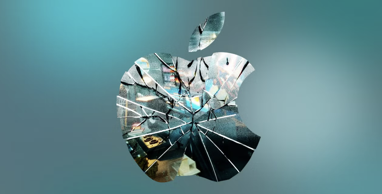 apple slate fall tree