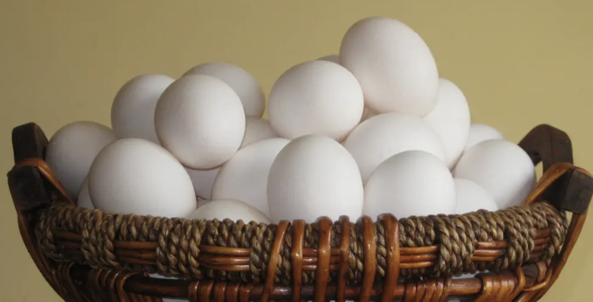apple eggs basket gregory