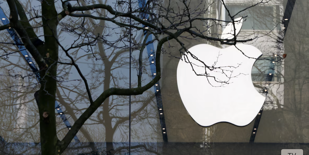 apple scotus birthright epic