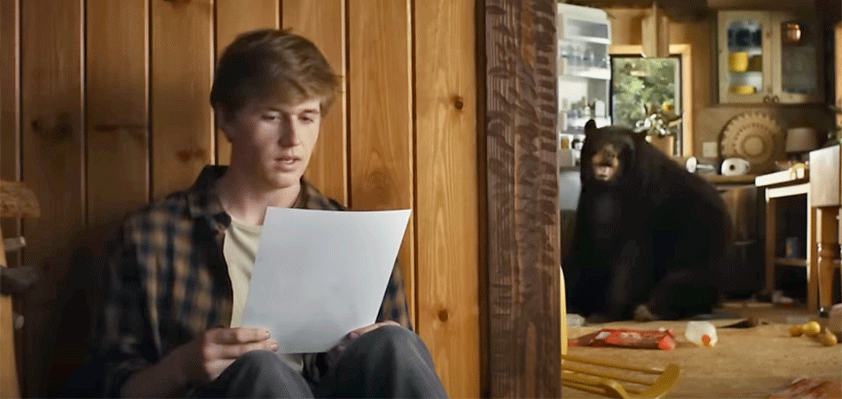 apple saturday video bear