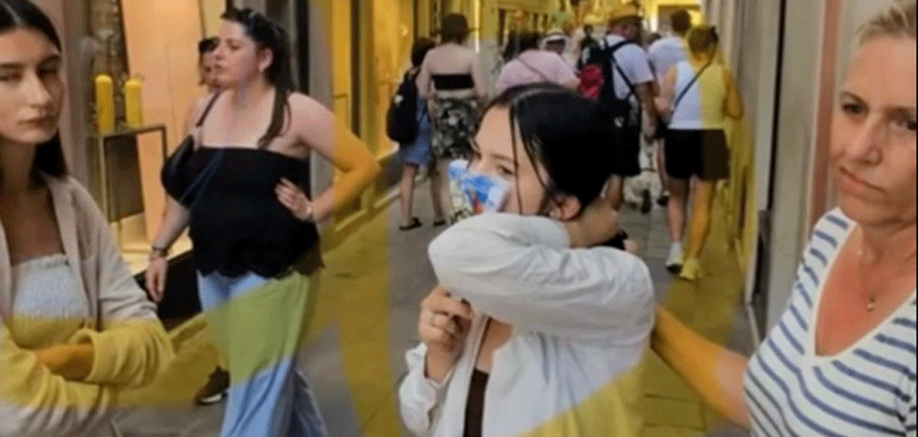 apple venice pickpocket ponytail