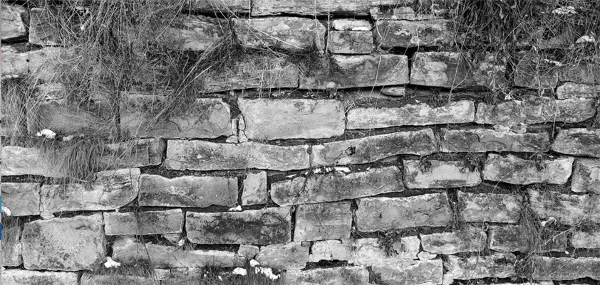 apple spotify epic higgins