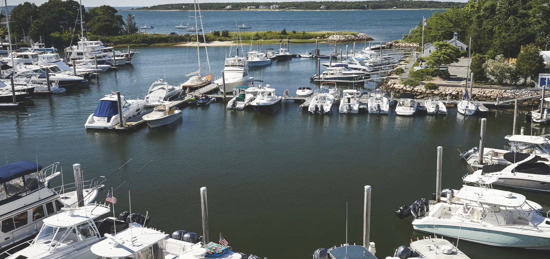 apple ai safe harbor