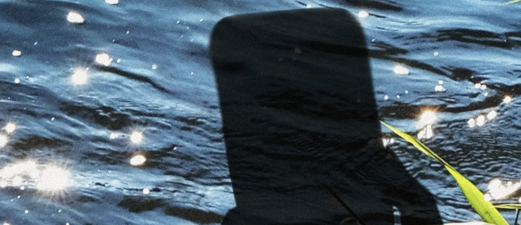 apple black white color