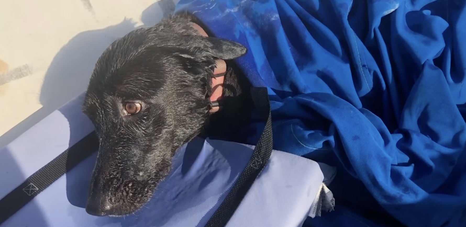 apple airtag rescue lab