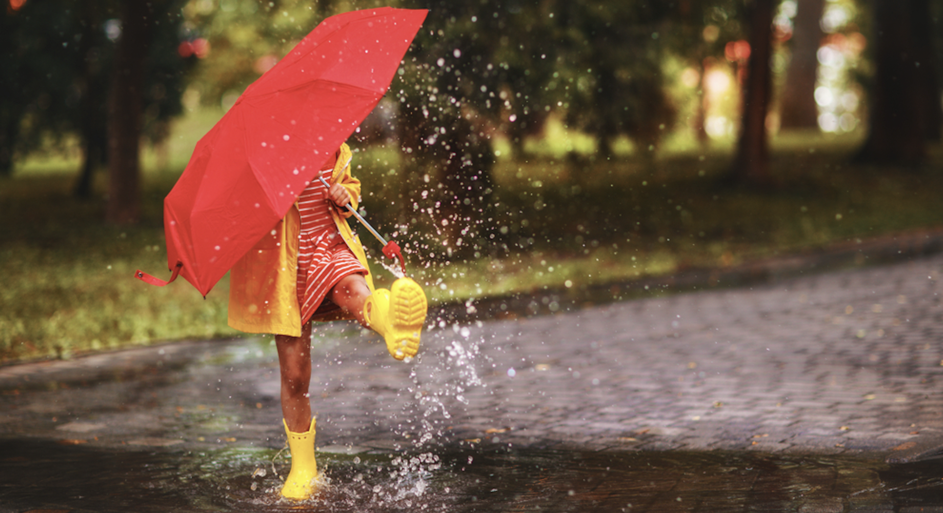 apple gurman rain parade