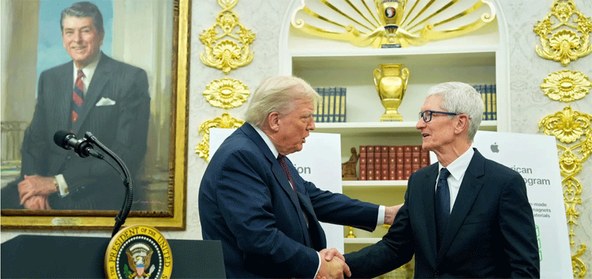 apple navarro cook liar