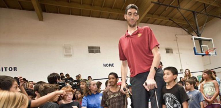 Neil Cybart: Apple's market shares set to grow | Philip Elmer‑DeWitt