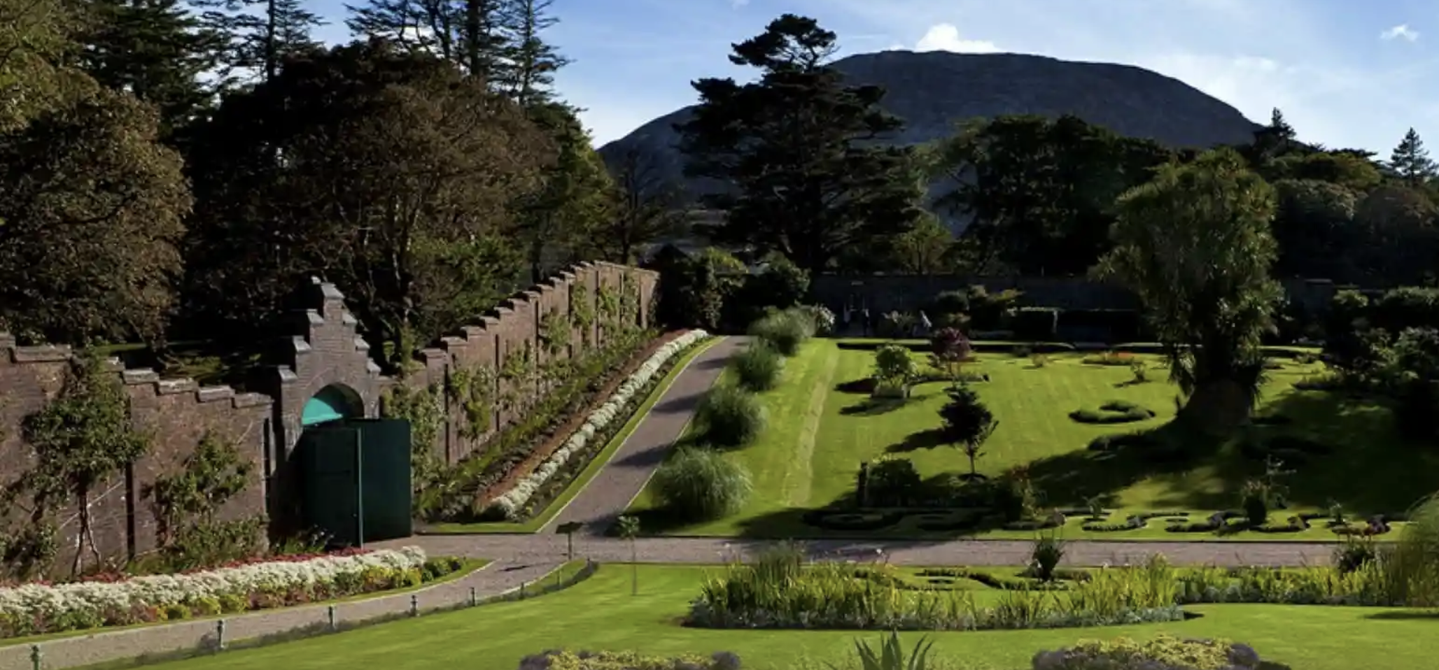 apple wedbush ives walls