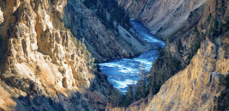 apple lessin google AI