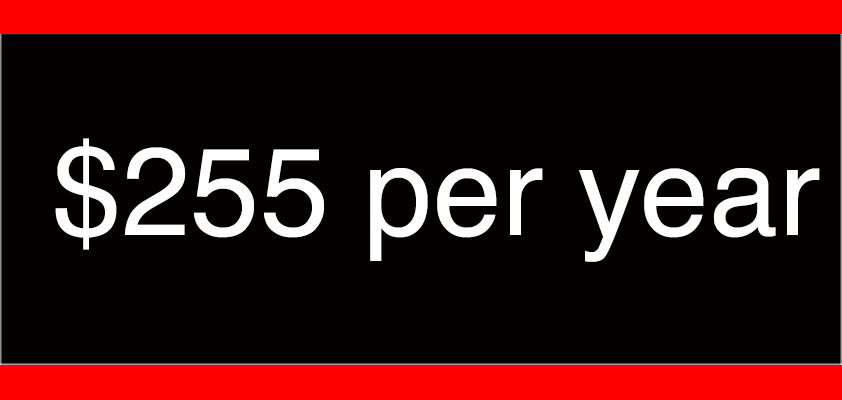 apple yearly subscription 255