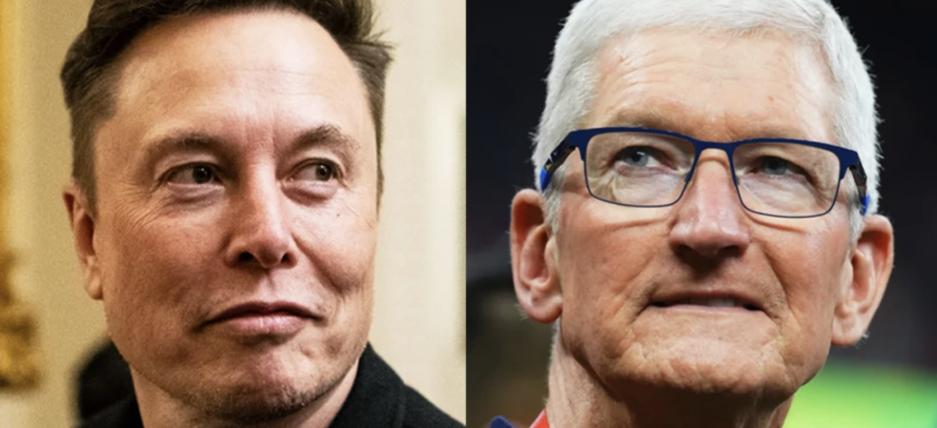 apple musk cook grok