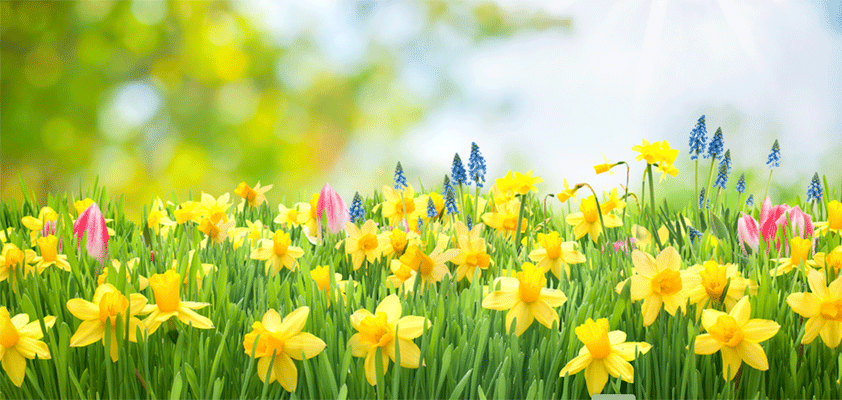 apple good friday 2026