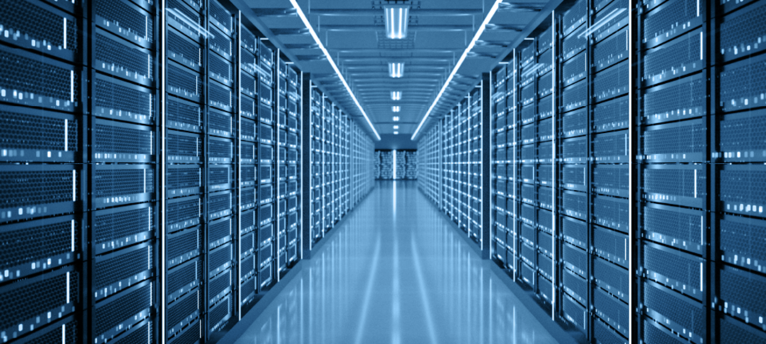 apple evercore procurement strategies