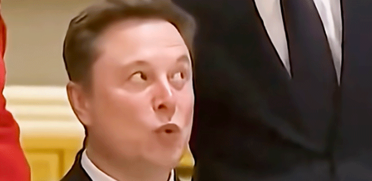 apple musk mugging cook