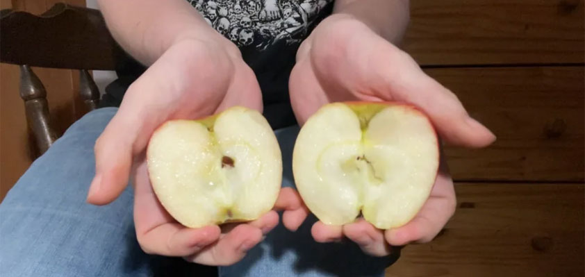 apple munster split working