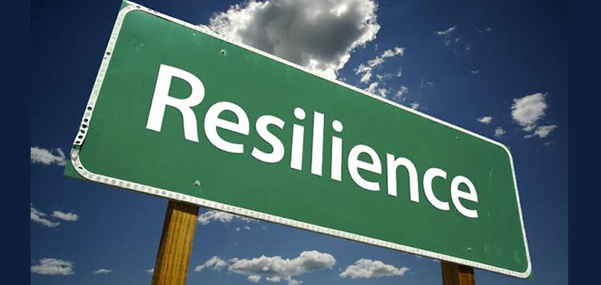 apple demand resilient jpmorgan